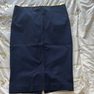 Elegant Navy Skirt